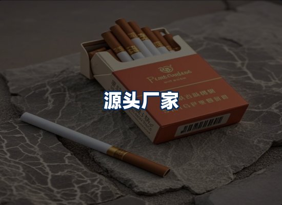 专业团队办公环境